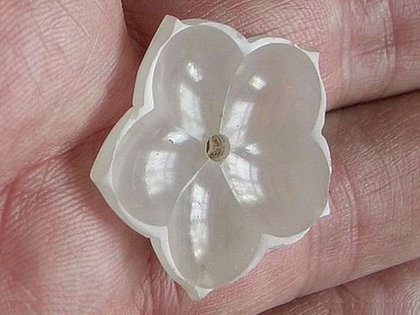 Flower  27 - (3446)